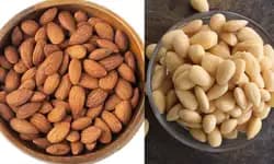 Almonds: ಬಾದಾಮಿ ಸಿಪ್ಪೆಯೊಡನೆ ಅಥವಾ ಸಿಪ್ಪೆ ತೆಗೆದು ತಿನ್ನಬೇಕಾ ? ಯಾವುದು ಉತ್ತಮ...